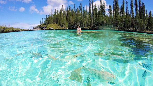 Piscine Naturelle Oro Ile Des Pins