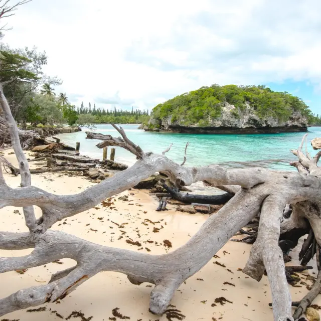 Rocher de Kanuméra - île des Pins