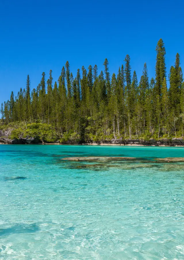 PMT dans la piscine naturelle - Baie d'Oro