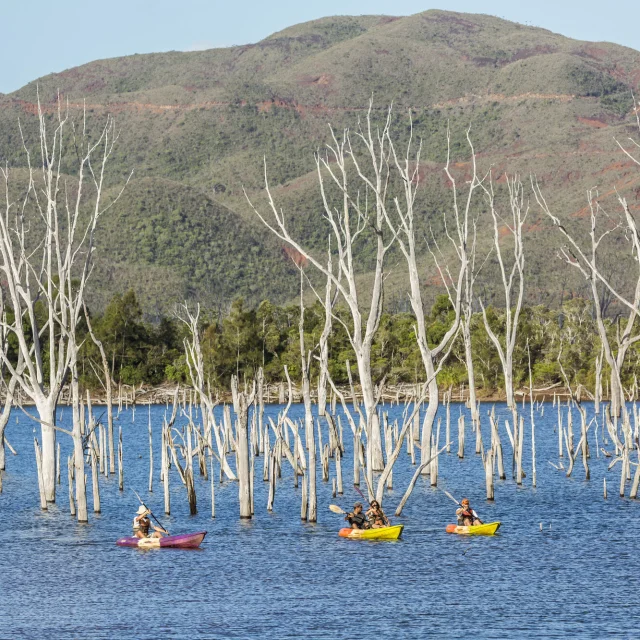 Parc Provincial de la Rivière Bleue - Yaté