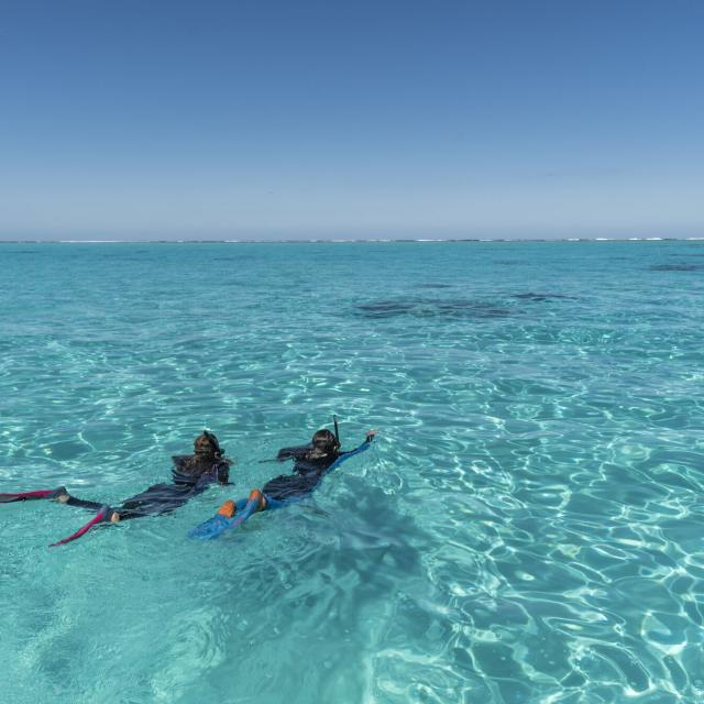 Plongée Lagon De Poé Bourail