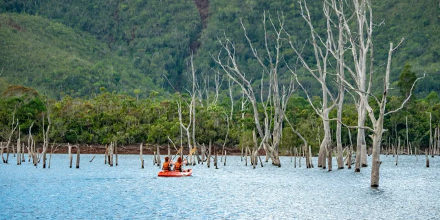 Kayak dans la forêt noyée - Parc de la Rivière Bleue - Grand Sud
