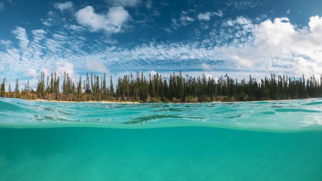 Brosse islet IPD