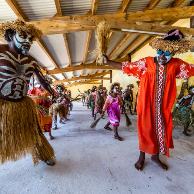 Danse IDP