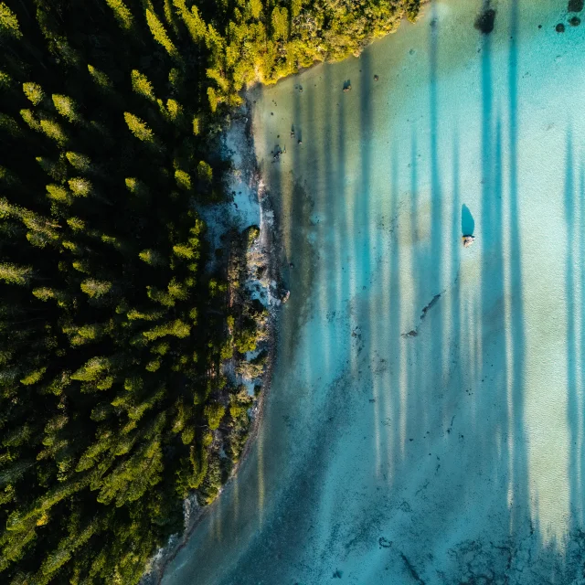 Piscine naturelle