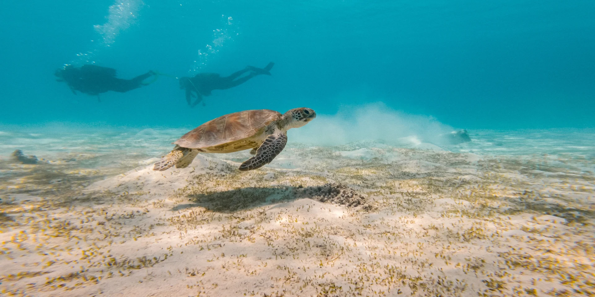 The untouched nature of New Caledonia | Sud Tourism New Caledonia