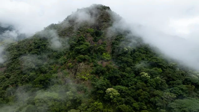 Sarramea Montagne