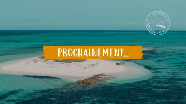 Prochainement