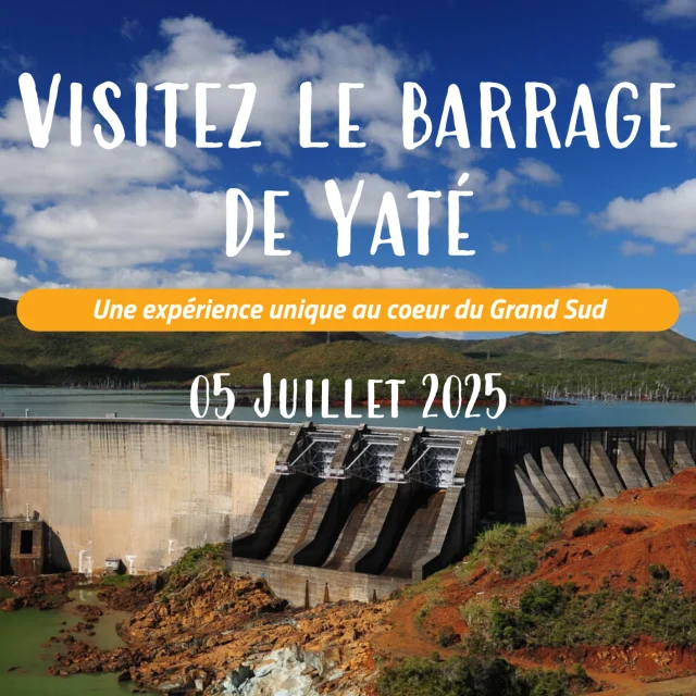 Affiche Yate 2