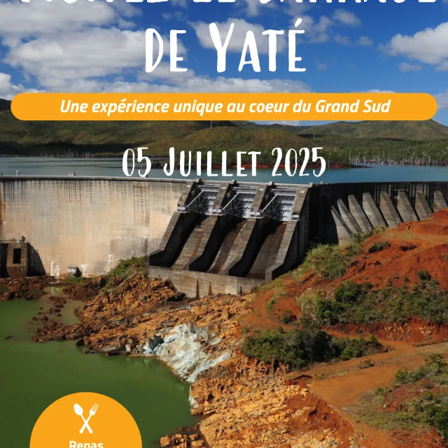 Affiche Yate 2
