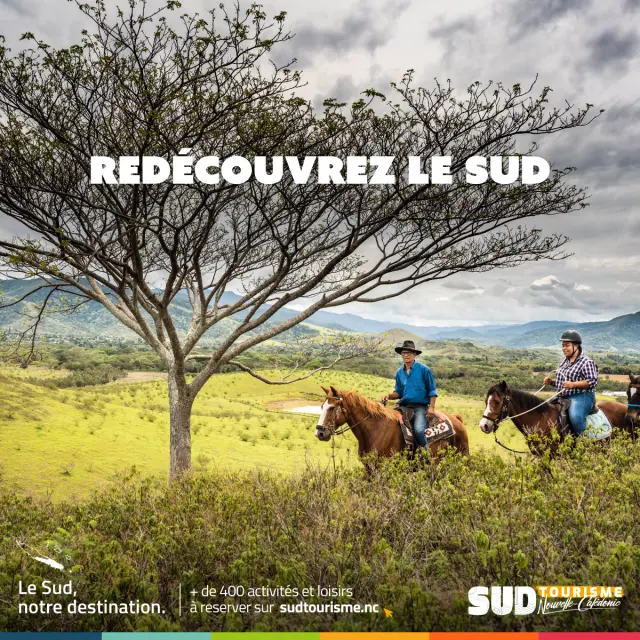 Campagne Redécouvrez le sud - Décembre / Janvier / Février - Visuel Post 08