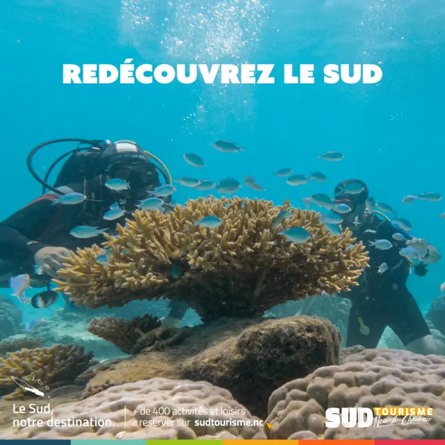 Campagne Redécouvrez le sud - Décembre / Janvier / Février - Visuel Post 01