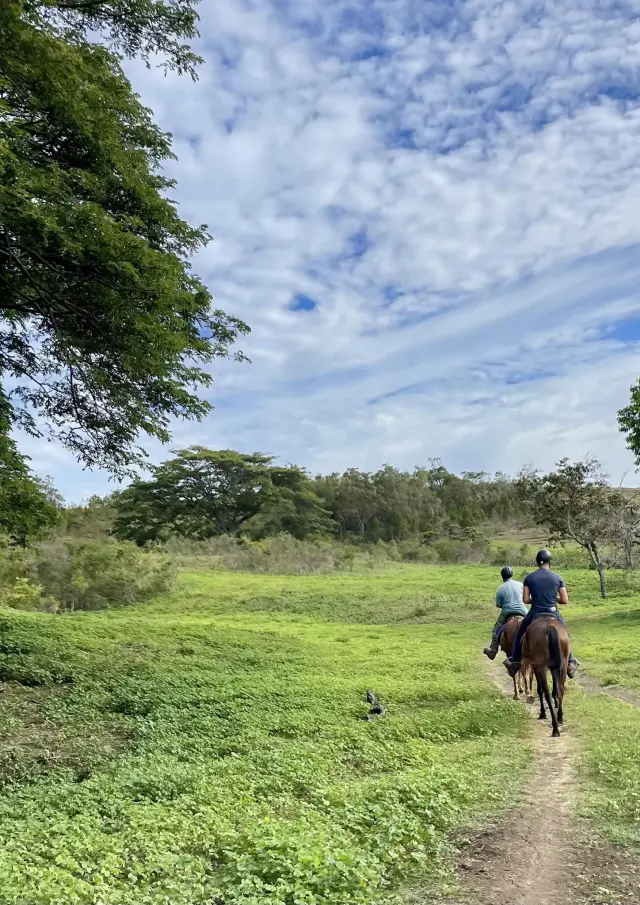 Ouaneco Ranch Poya Sud 1