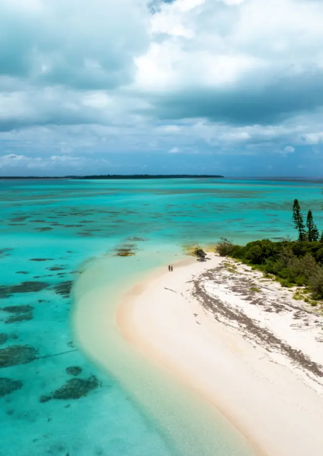 Island Brush 5